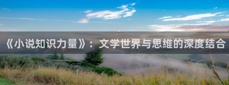纵横中文网网站：《小说知识力量》：文学世界与思维的深度结合