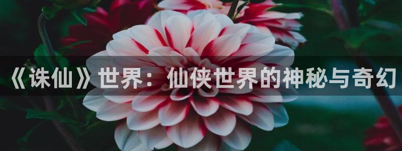 纵横中文网中文网官网：《诛仙》世界：仙侠世界的神秘与奇幻